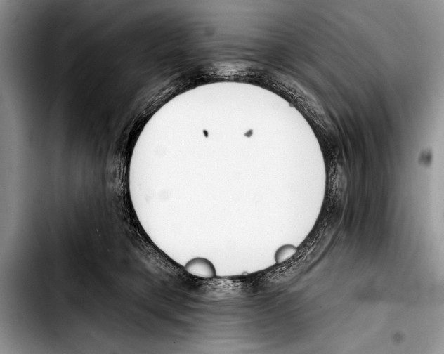 X0000103400421200810100938