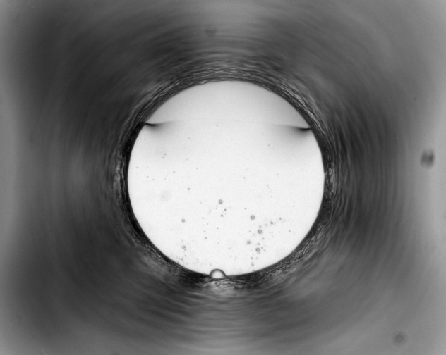 X0000103400423200810100938