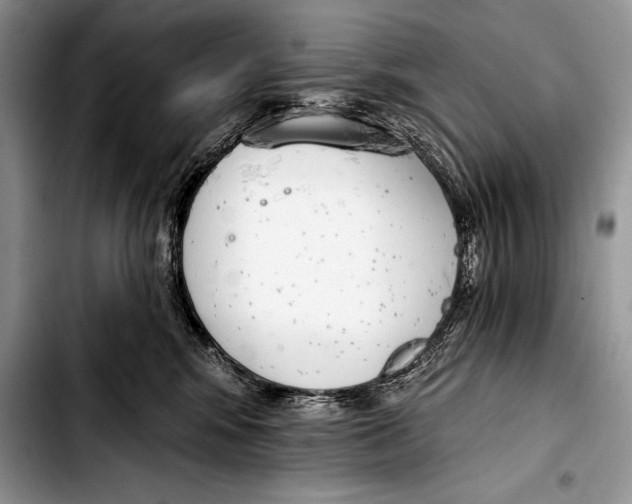 X0000103400424200810100938