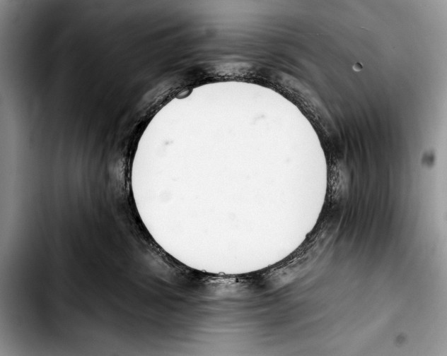 X0000103400428200810100938