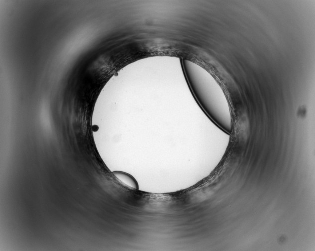 X0000103400429200810100938