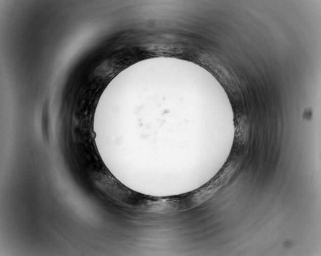 X0000103400430200810100938