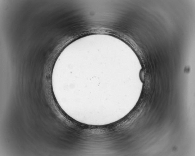 X0000103400433200810100937