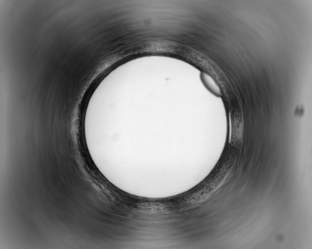 X0000103400435200810100937