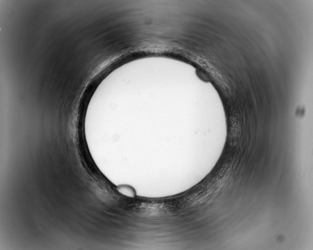 X0000103400440200810100937