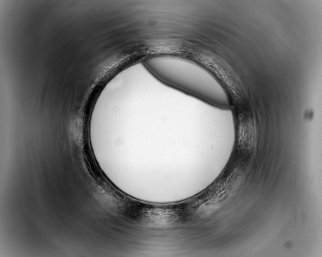 X0000103400444200810100937