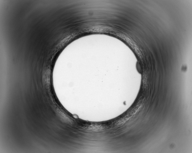 X0000103400445200810100937