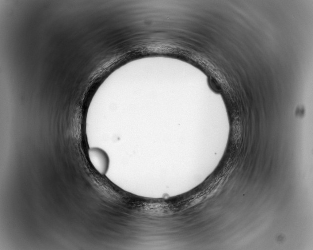 X0000103400446200810100937