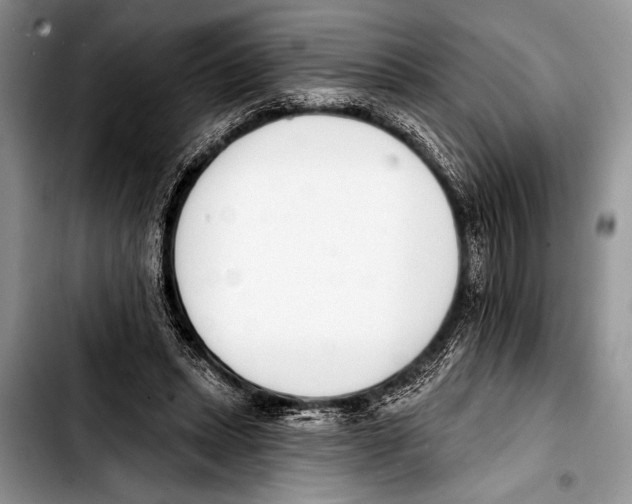 X0000103400447200810100937