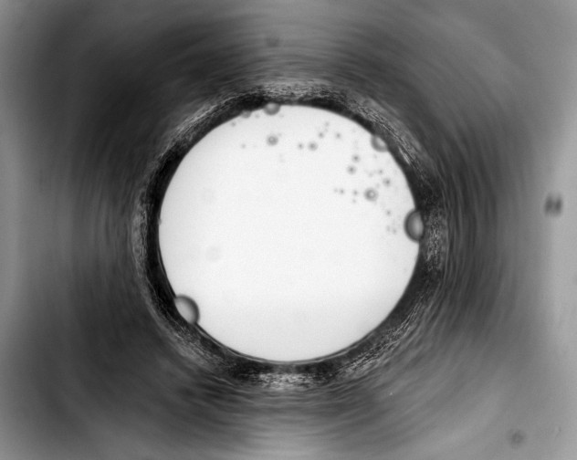 X0000103400448200810100937