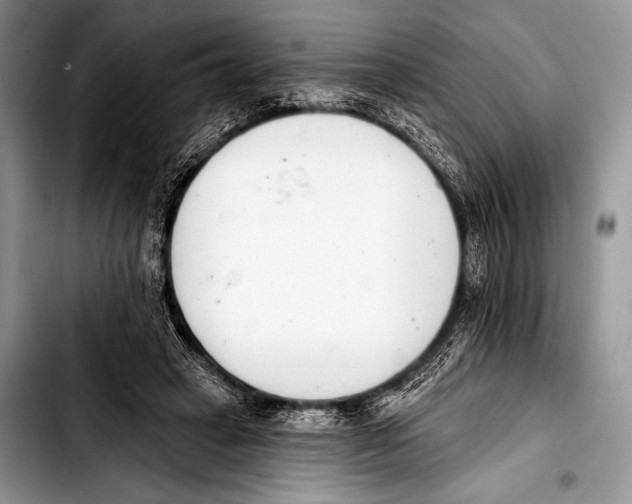 X0000103400449200810100937