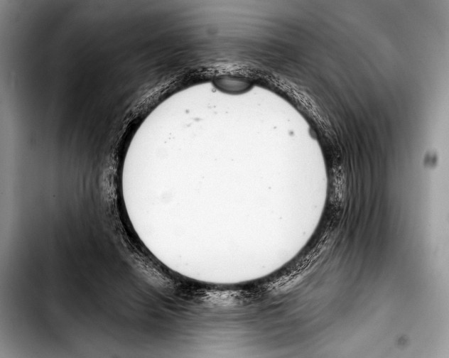 X0000103400450200810100937