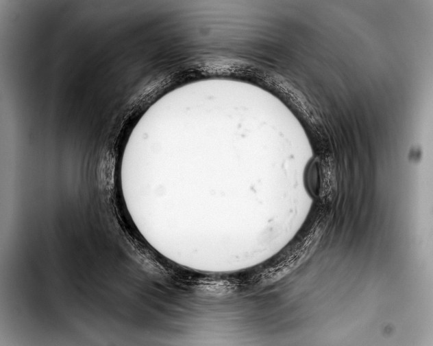 X0000103400454200810100937