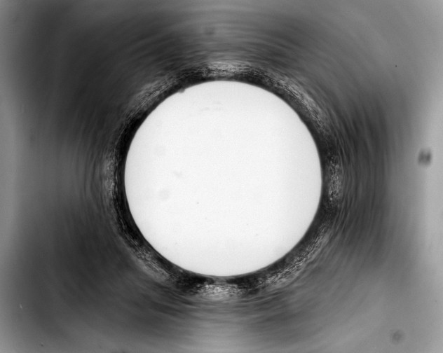 X0000103400455200810100937