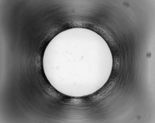 X0000103400457200810100938