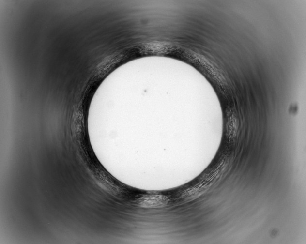 X0000103400459200810100938