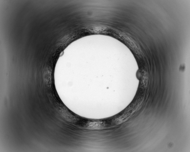 X0000103400461200810100938