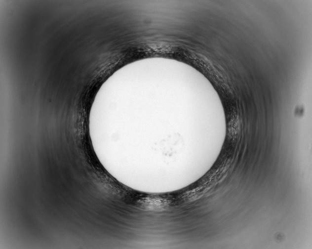 X0000103400464200810100938