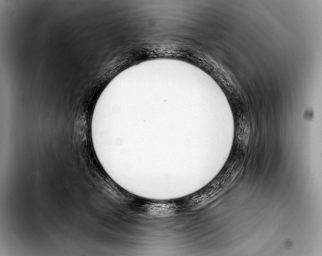 X0000103400465200810100938