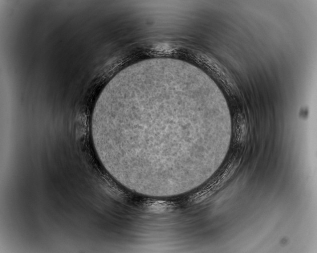 X0000103400467200810100938