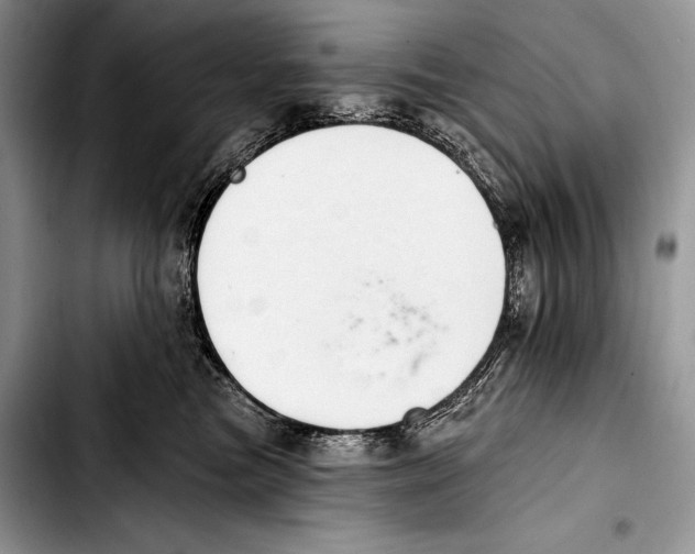 X0000103400473200810100938