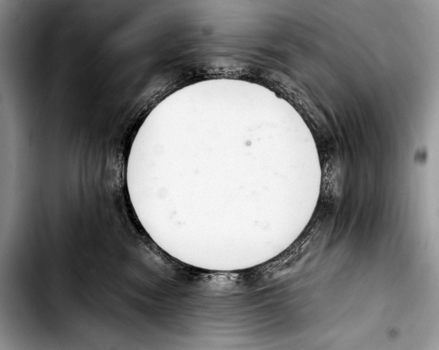 X0000103400474200810100938