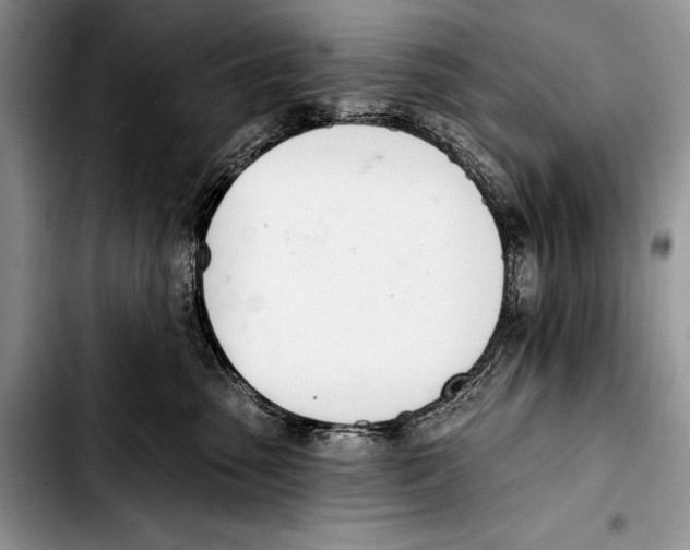 X0000103400475200810100938