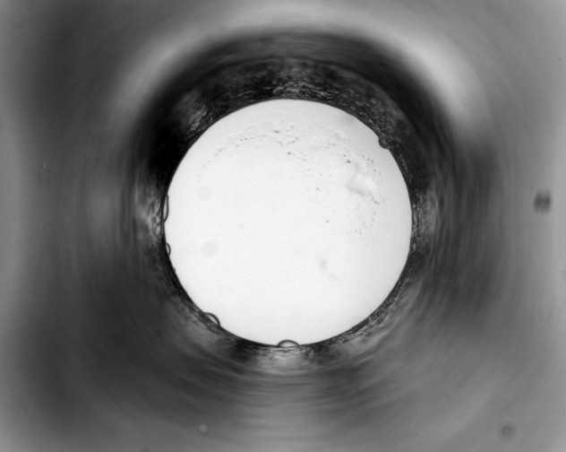 X0000103400479200810100938