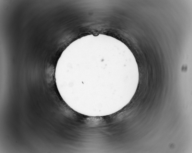 X0000103400480200810100938