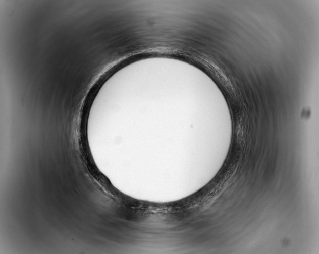 X0000103400484200810100937