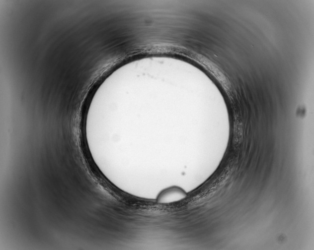 X0000103400485200810100937