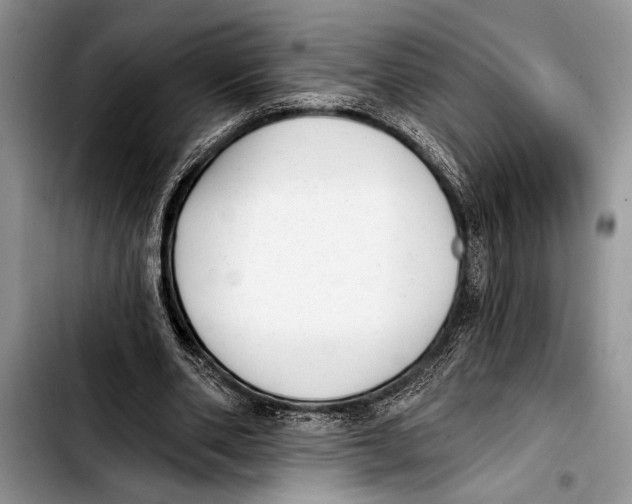 X0000103400486200810100937