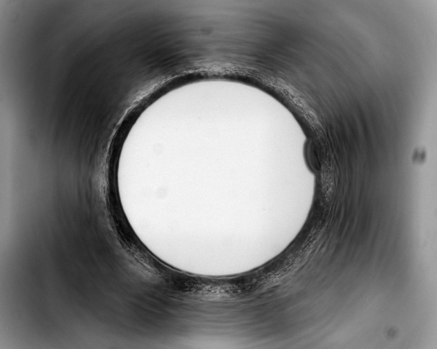 X0000103400488200810100937