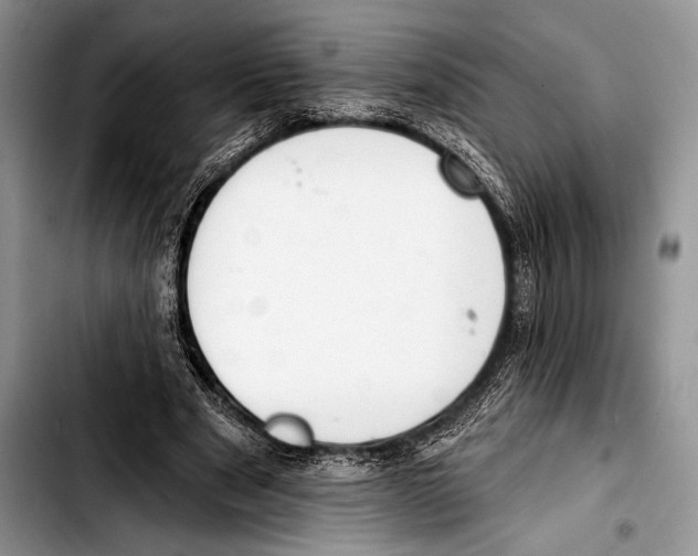 X0000103400489200810100937