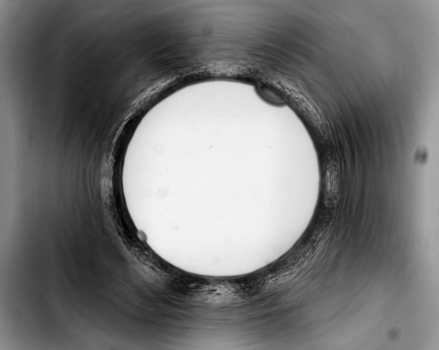 X0000103400492200810100937