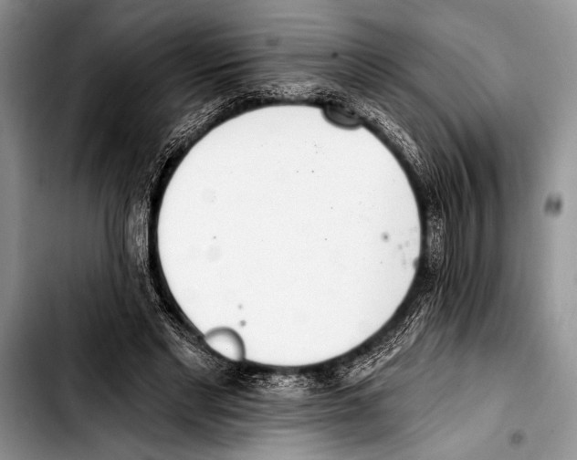 X0000103400493200810100937