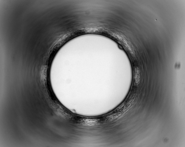 X0000103400495200810100937