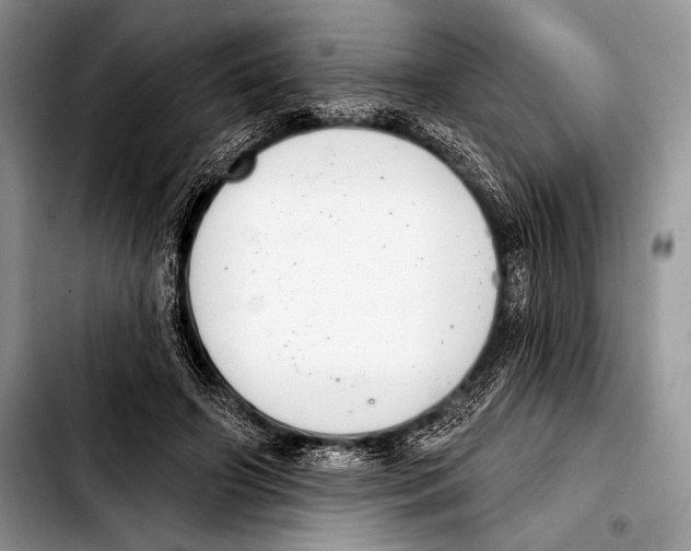 X0000103400498200810100937