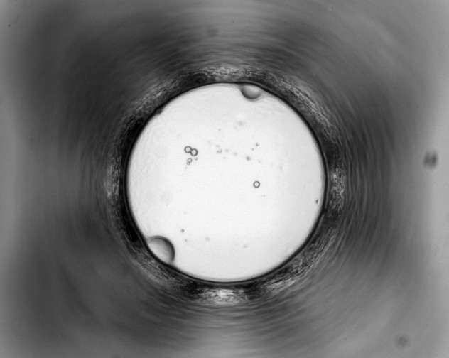 X0000103400499200810100937