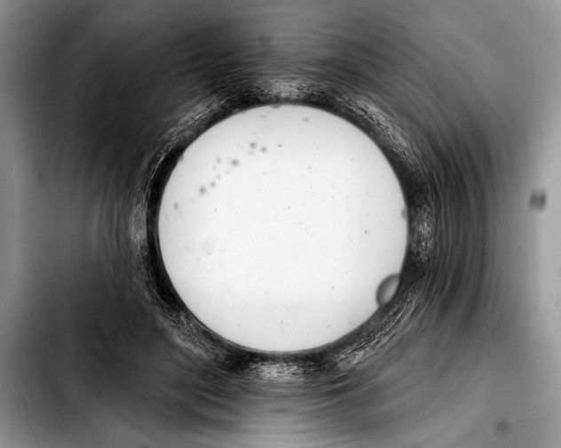 X0000103400500200810100937