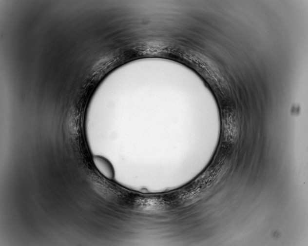 X0000103400503200810100937