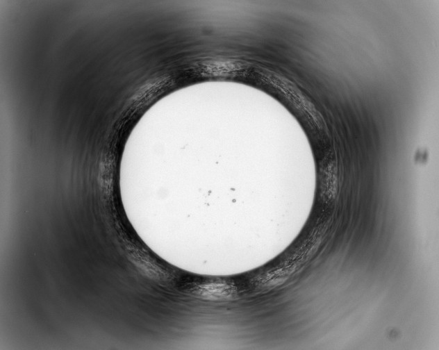 X0000103400505200810100937