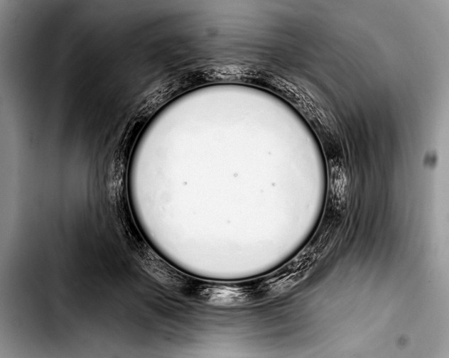 X0000103400507200810100937