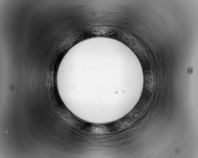 X0000103400510200810100937