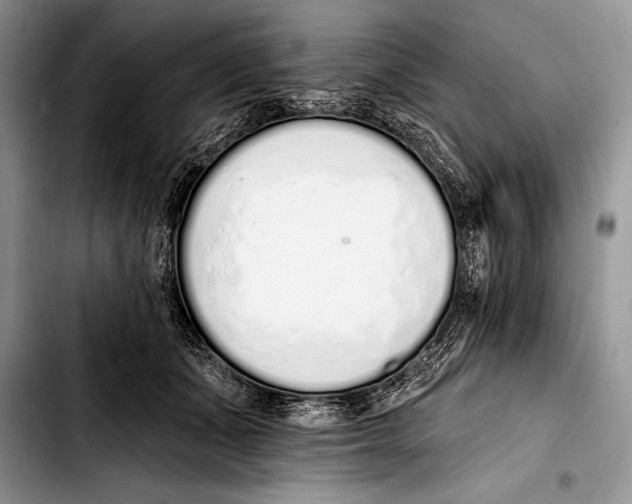 X0000103400511200810100937