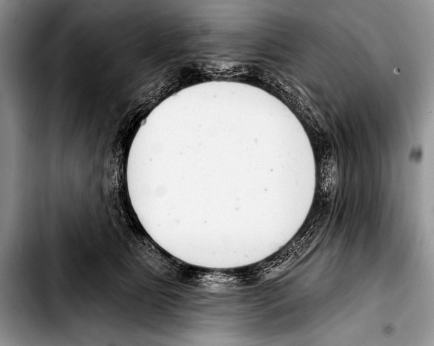 X0000103400515200810100937