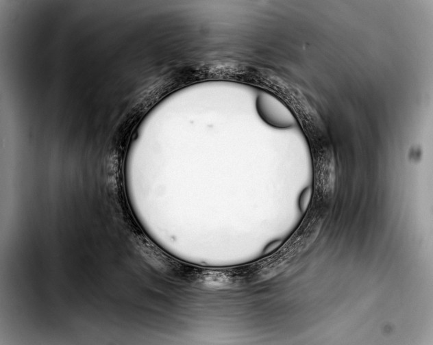 X0000103400519200810100937