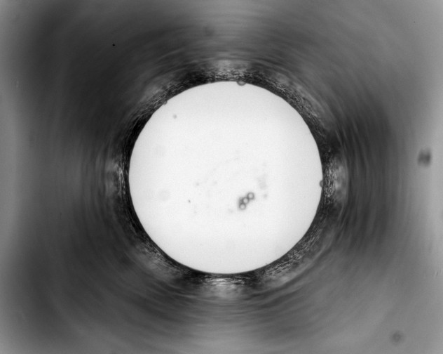 X0000103400522200810100937