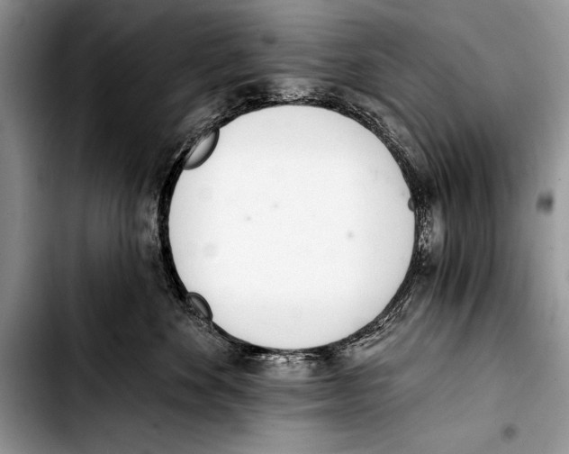 X0000103400524200810100937