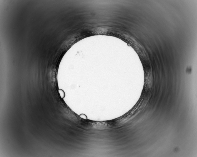 X0000103400525200810100937